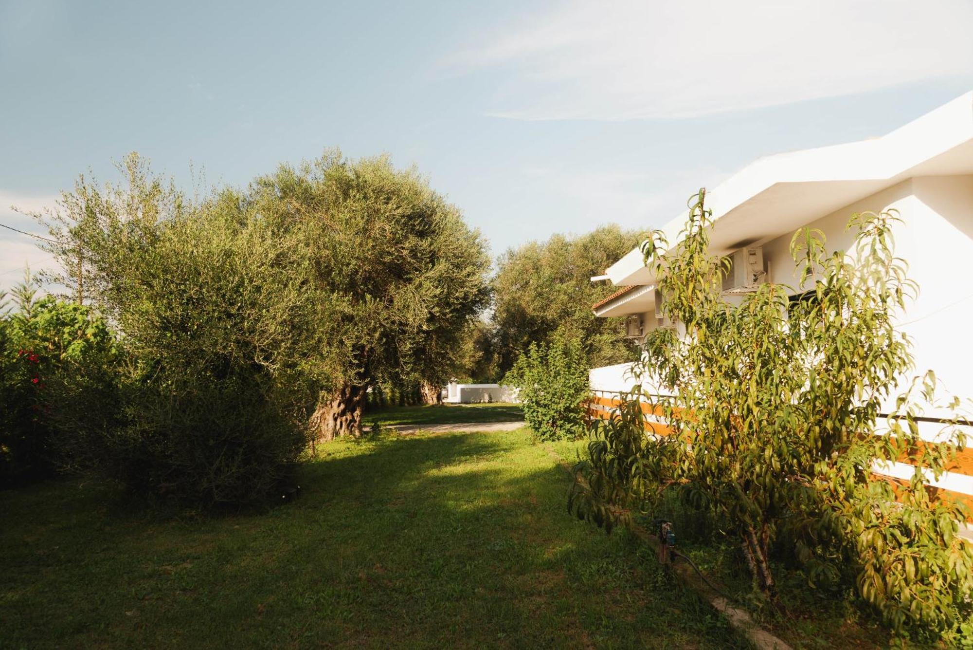מוראיטיקה Olive Grove Suites Boutique Hotel מראה חיצוני תמונה