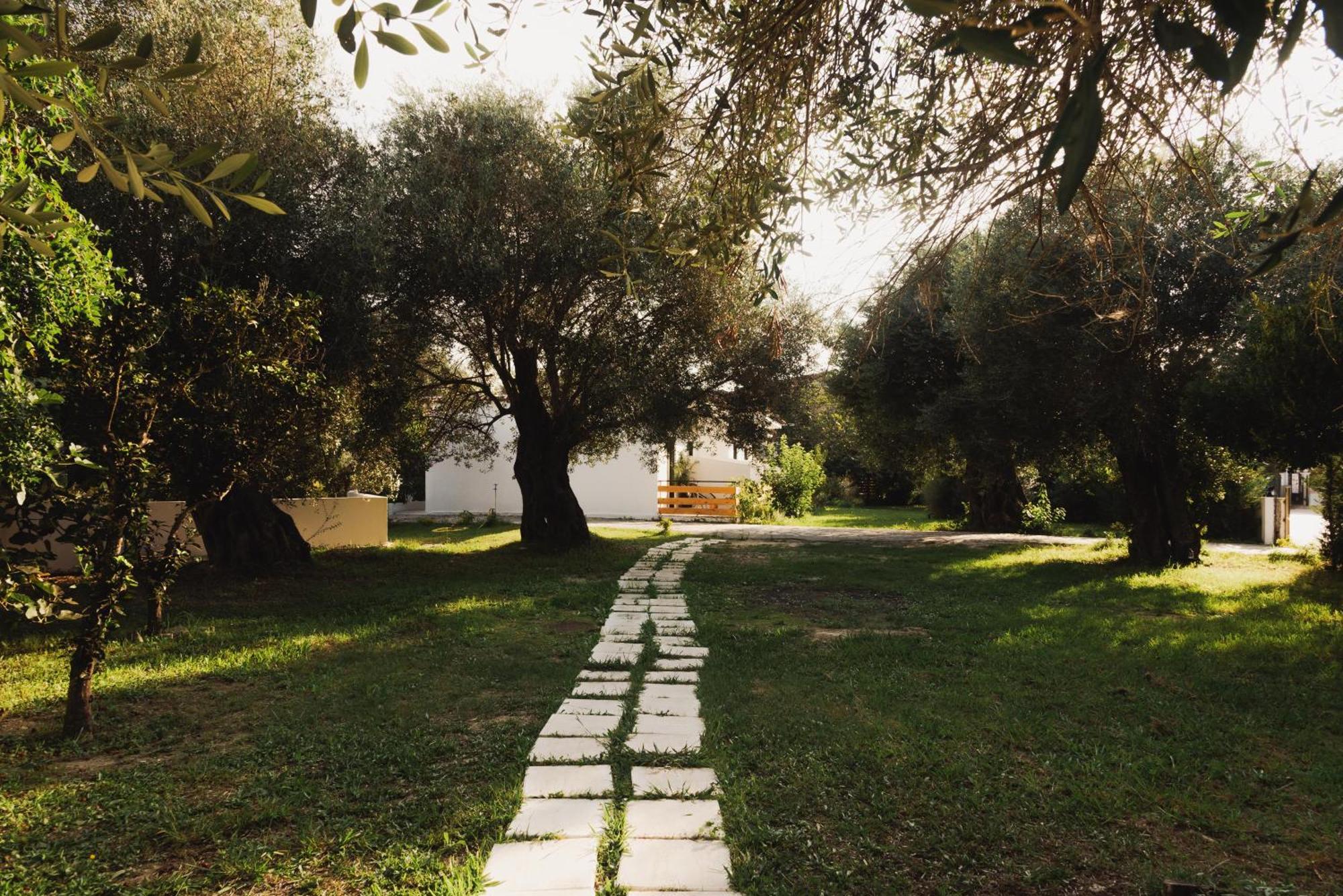 מוראיטיקה Olive Grove Suites Boutique Hotel מראה חיצוני תמונה