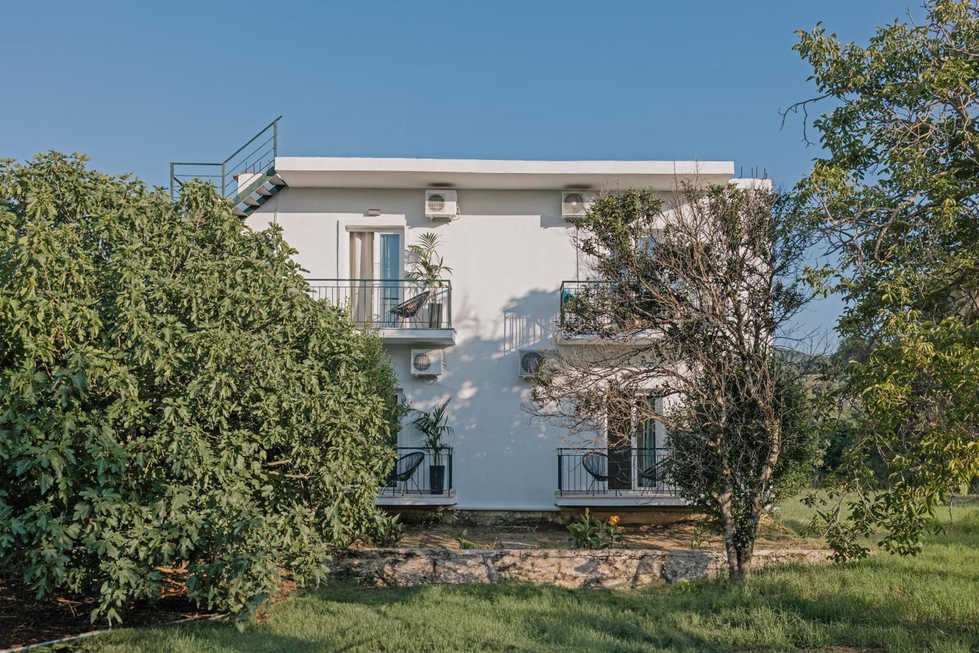 מוראיטיקה Olive Grove Suites Boutique Hotel מראה חיצוני תמונה
